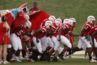 全国青少年皮划艇竞速赛在杭州顺利举行，青少年皮划艇夏令营活动