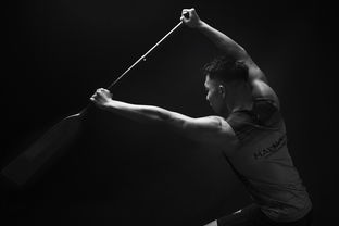 全民健身摄影作品展览走进体育馆大厅，体育运动摄影作品展